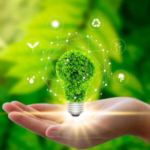 Environment 15th Aug 2022